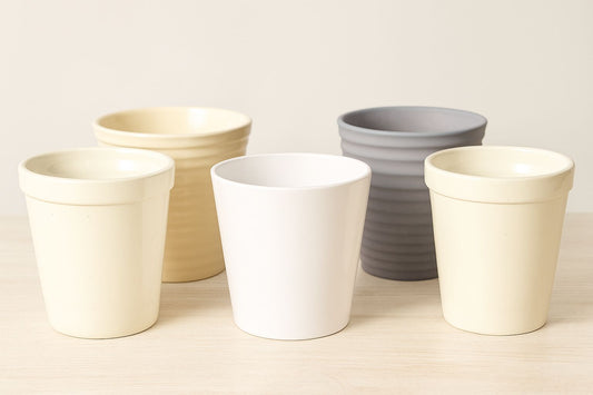 Beautiful Mini Vase Set – 5 Pieces Decorative Collection